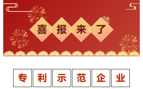 喜報！金華市專(zhuān)利示範企業！